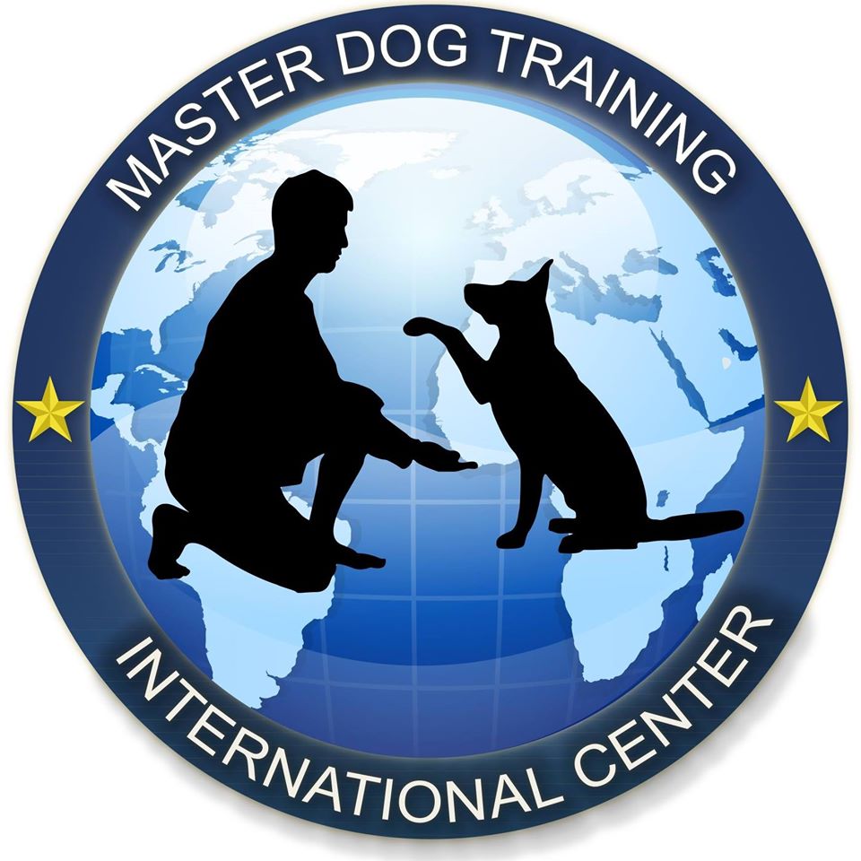 master dog trainer master dog trainer