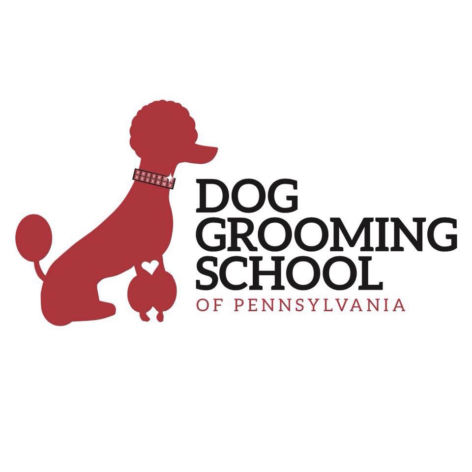 Amazing Dog Grooming Johnstown Pa  Check it out now 