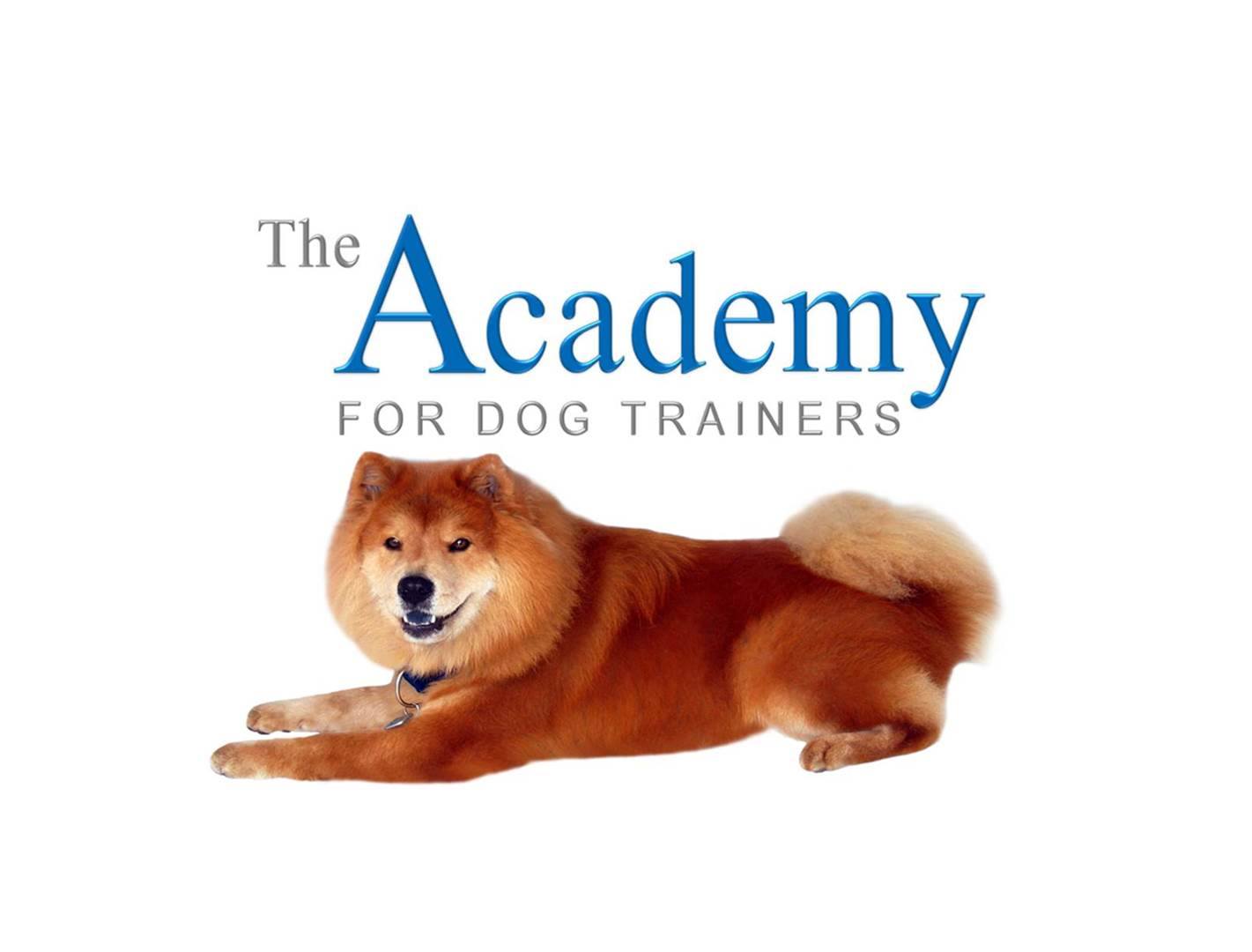 academy-for-dog-trainers-pocketsuite