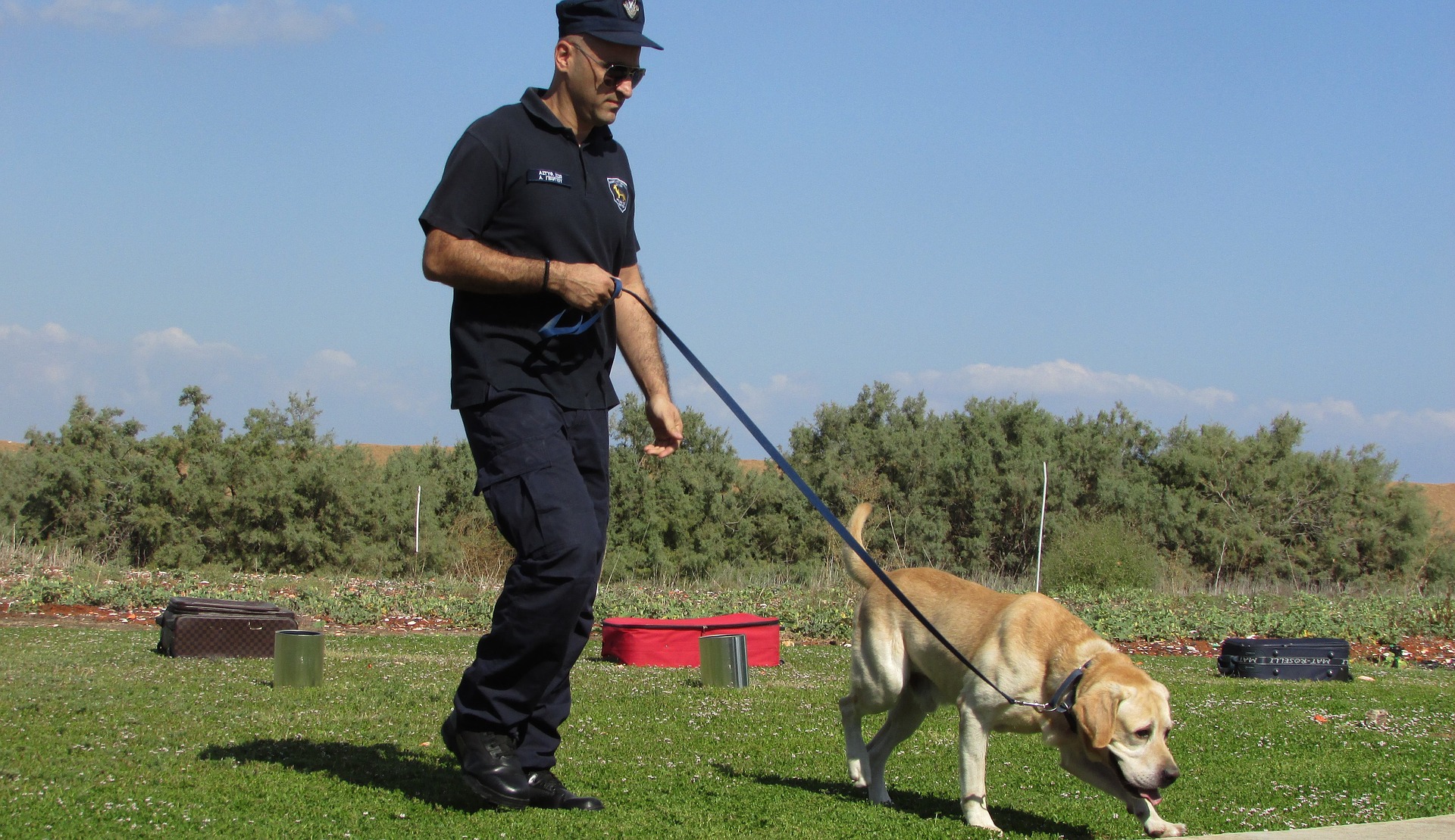 famous english female dog trainer