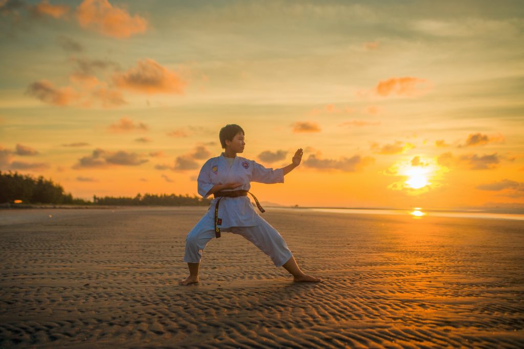 Martial Arts Instructor Career Overview | PocketSuite