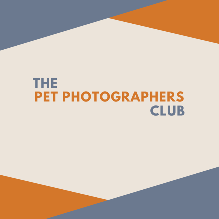 pet-photographer-association-archives-pocketsuite