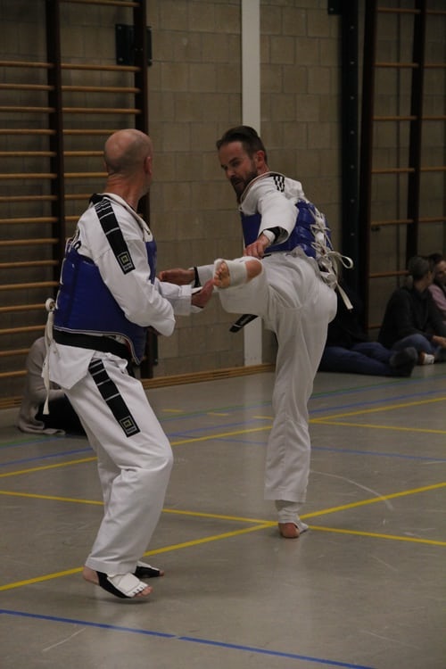 Kung Fu instructor sparring with a partner