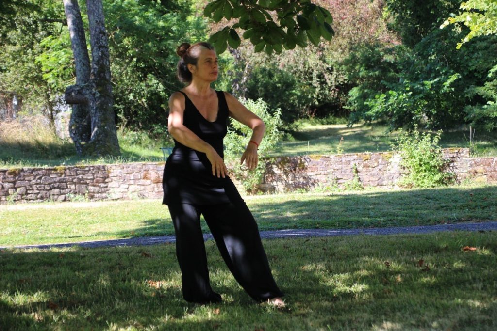 Tai Chi instructor performing movements in a park