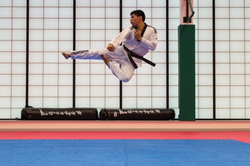 Karate instructor demonstrating a jumping kick