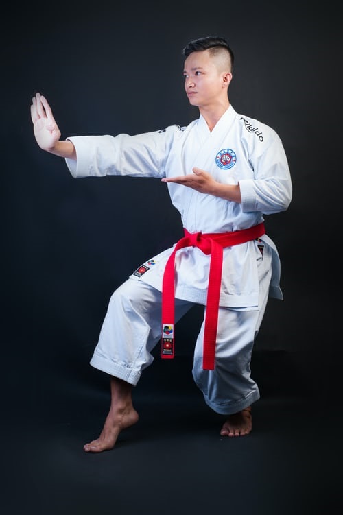 Judo student posing in a ready position