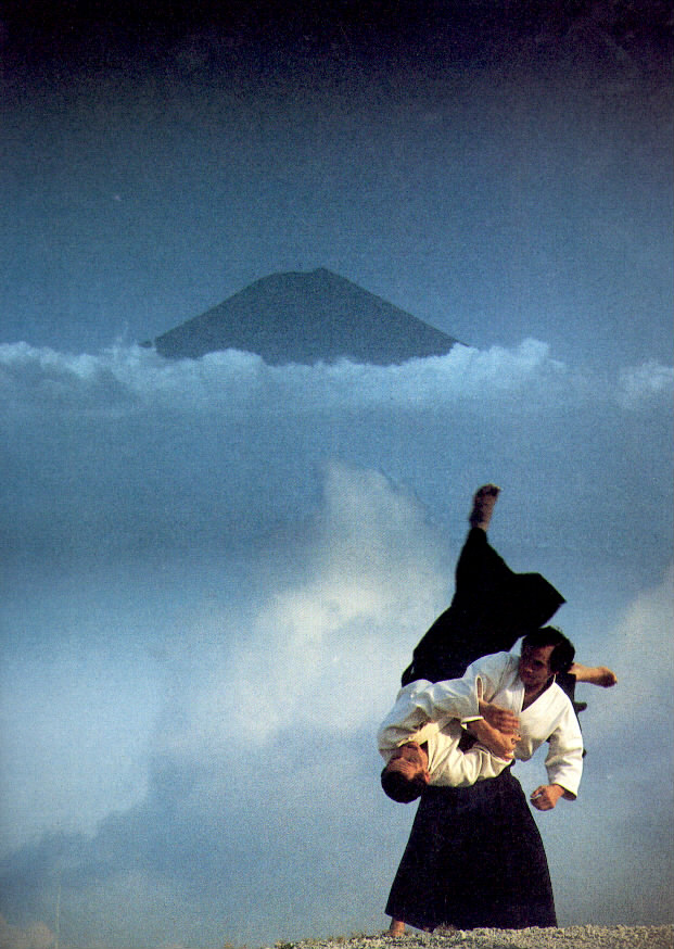 Aikido sensei instructor performing moves with mountains in background