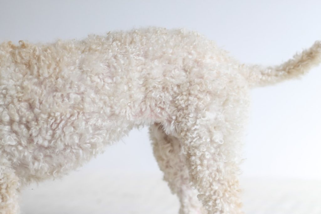 Close up of a recently groomed coat of a dog