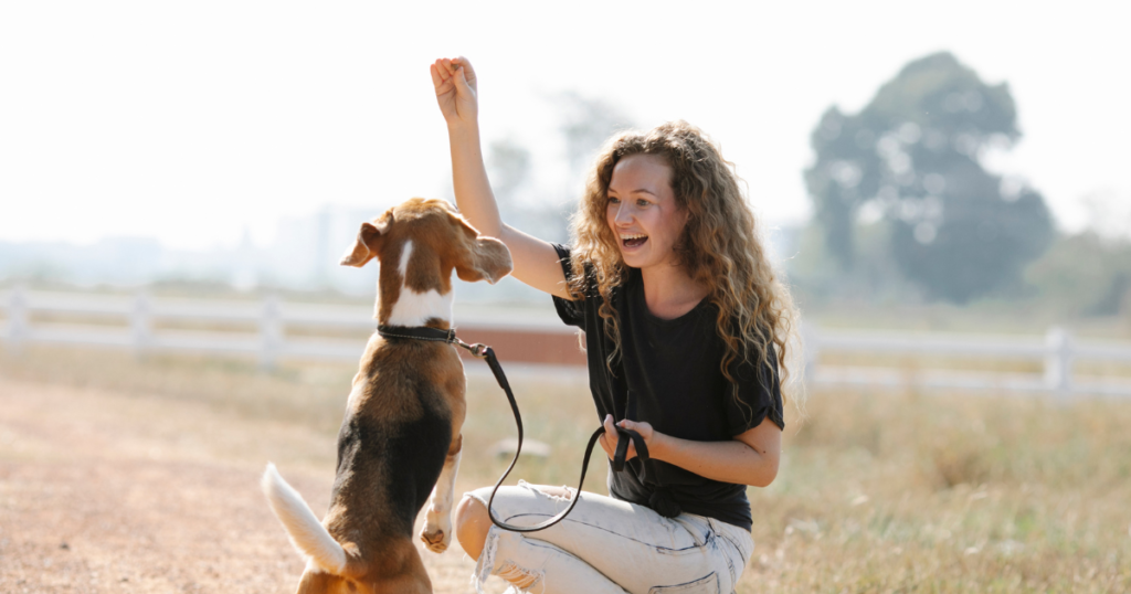 Use ChatGPT To Start A Dog Training Business.