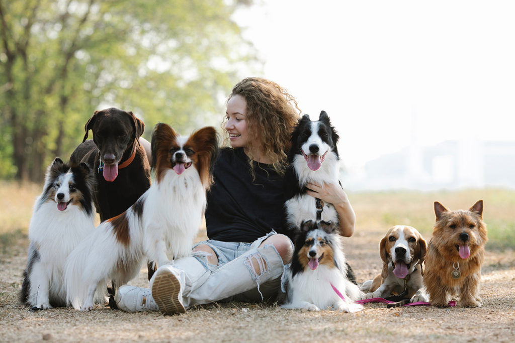 Dog boarding and training can help owners who don't have the time or knowledge to train their pets, but it can be expensive and may not always be the right fit for every business owner. In this article, we'll discuss what you need to know to decide if offering dog board and training services will be the right choice for your dog training business.