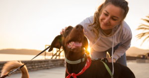 Have You Outgrown Rover? Here’s How to Grow A Six-Figure Dog Walking Business