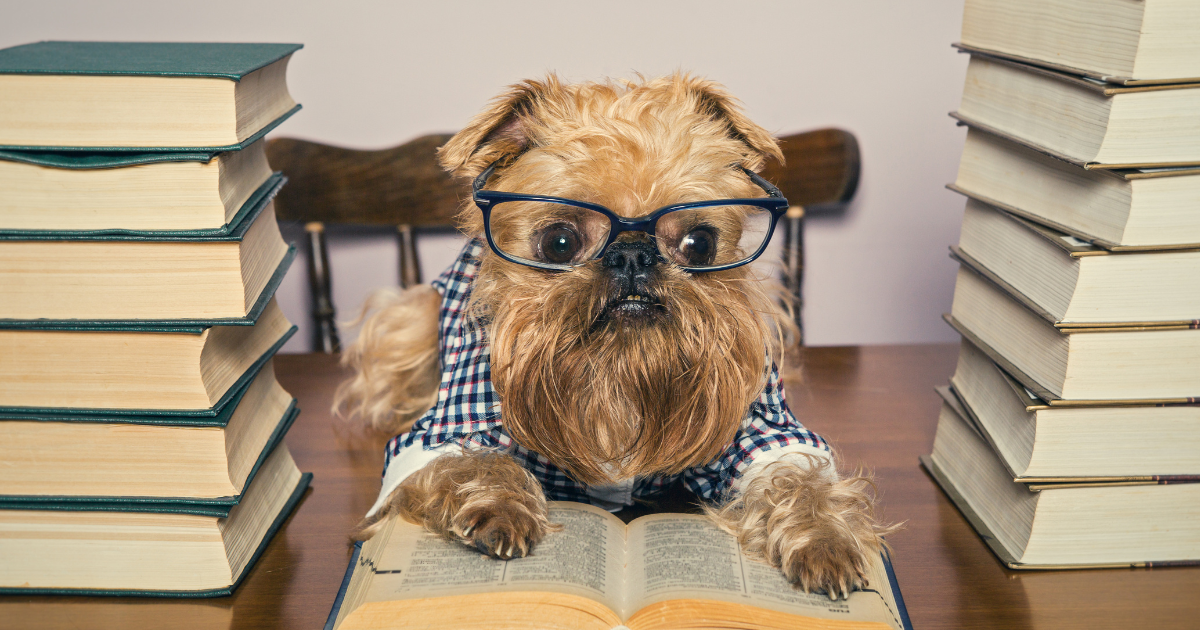 The Best Books for Dog Trainers in 2023