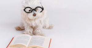 The Best Books for Dog Trainers in 2023