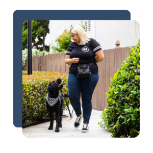 7 Essential Reports for Pet Business Growth