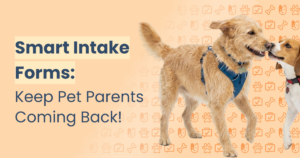 Keeps Pet Parents Coming Back With a Smarter Intake